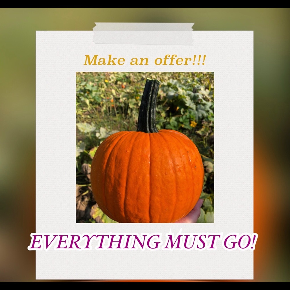 Fall closet clean out! Everything must go!